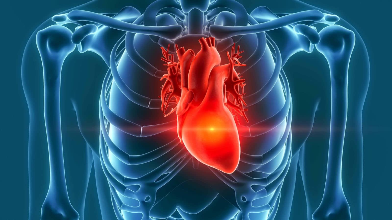 Winning Disability Benefits For Heart Disease