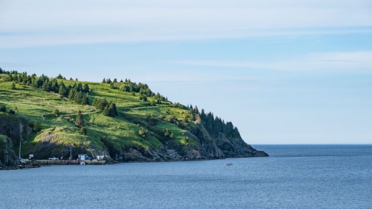 Coastal scenery of Avalon Peninsula in Newfoundland in summer.